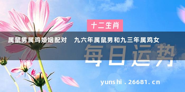 属鼠男属鸡婚姻配对 九六年属鼠男和九三年属鸡女